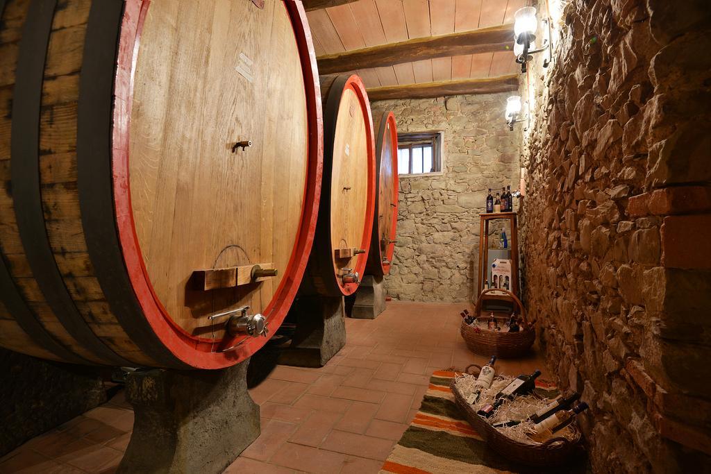 Farm stay Castellinuzza *