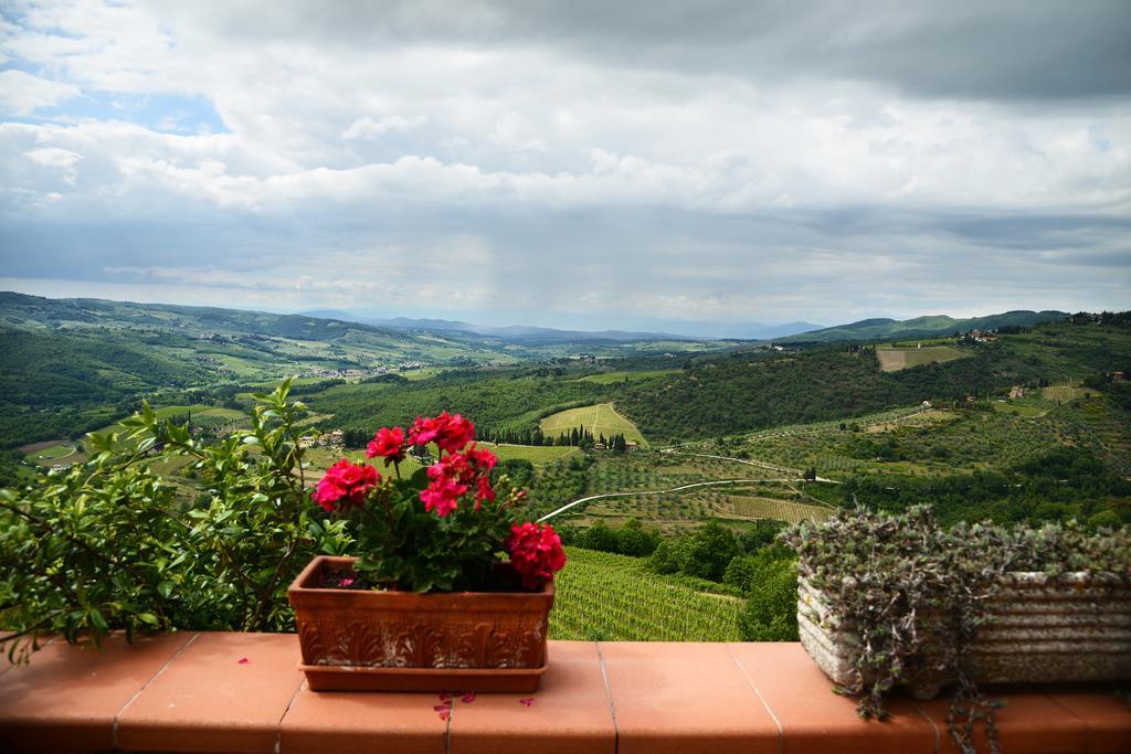 Castellinuzza Farm stay Greve in Chianti